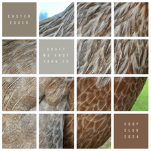 Load image into Gallery viewer, Coop Club | Q2 ‘Jessica’ &amp; ‘Down’
