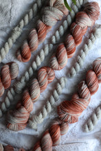Load image into Gallery viewer, Coop Club | Q1 | 'Loretta' &amp; 'Plume'
